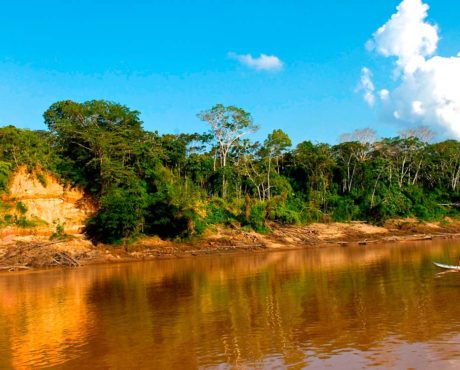 Tambopata, Amazonas – 3 Dage