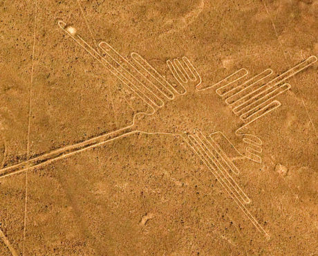 Lignes de Nazca 1 Jour